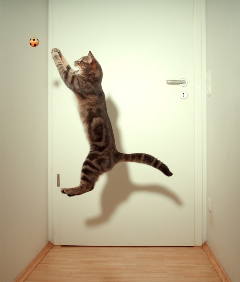 Khoảnh khắc 1 giây trước khi tai hoạ ập xuống - ảnh 21