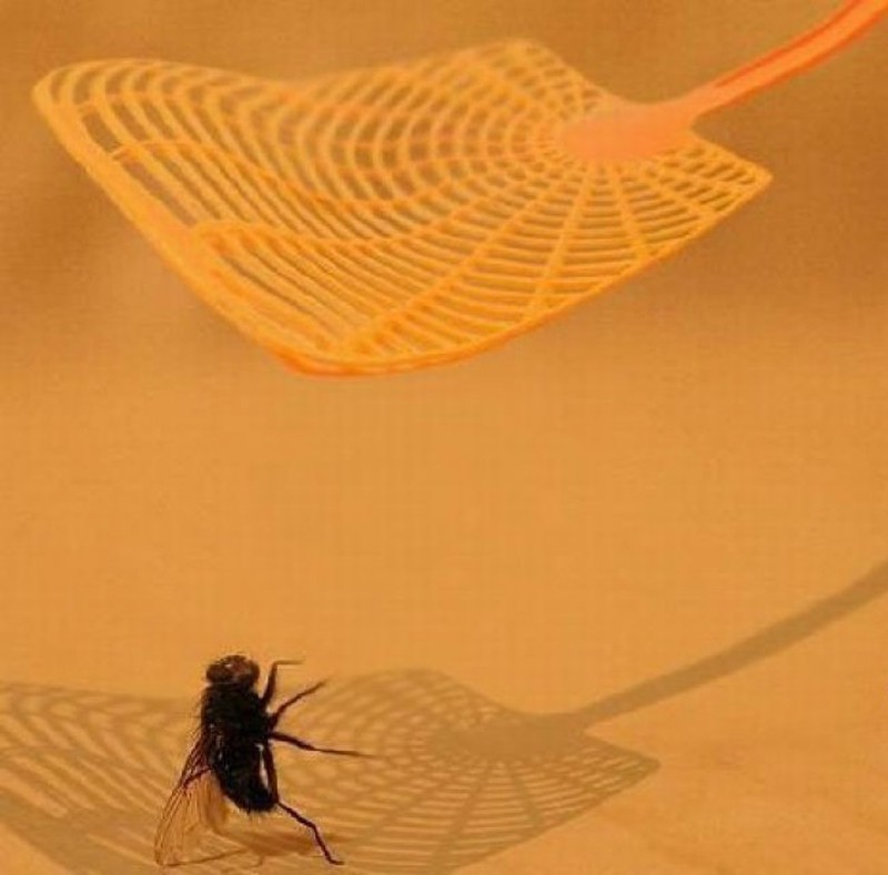 Khoảnh khắc 1 giây trước khi tai hoạ ập xuống - ảnh 23