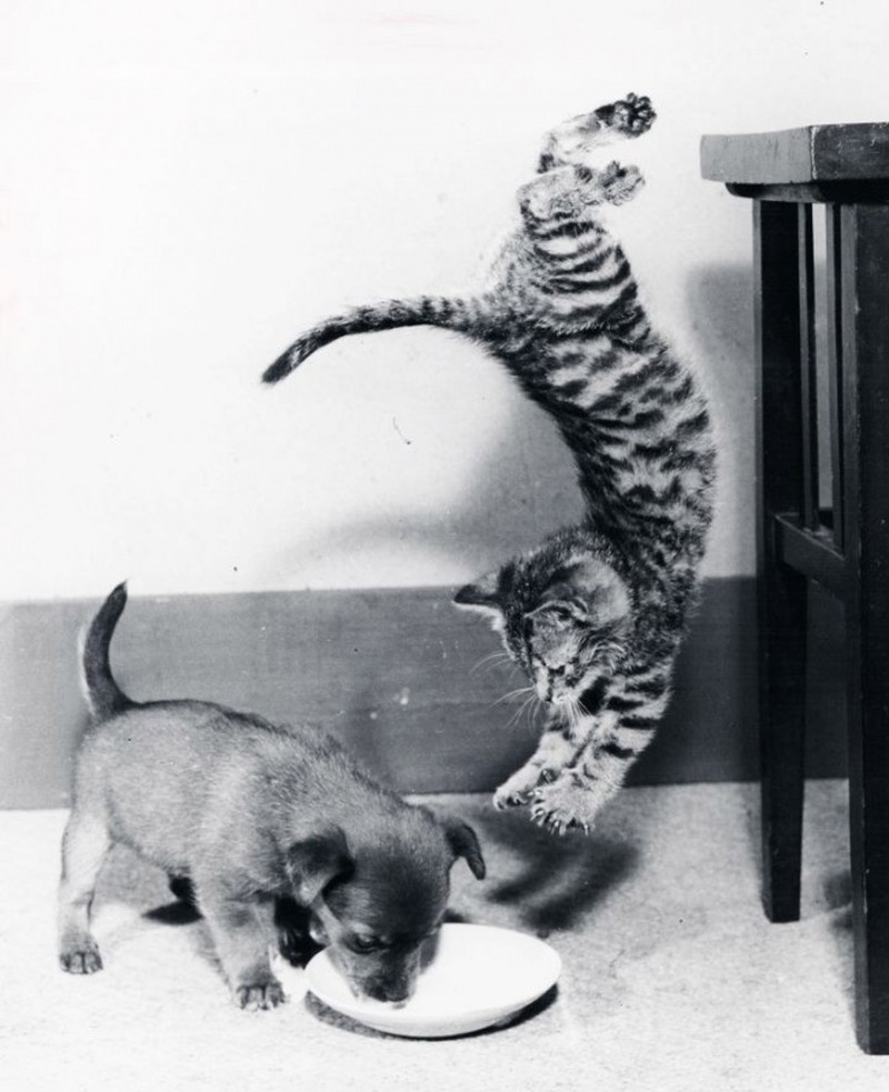 Khoảnh khắc 1 giây trước khi tai hoạ ập xuống - ảnh 4