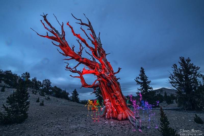 Các tác phẩm nghệ thuật tuyệt vời năm 2015 - ảnh 11