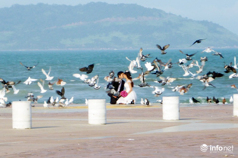 Người đàn ông cho hàng ngàn chim bồ câu ăn trên Công viên Biển Đông - ảnh 13