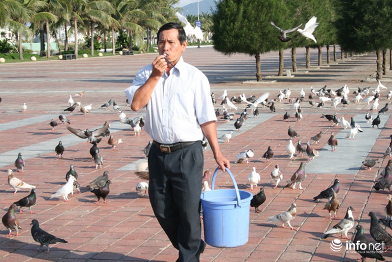 Người đàn ông cho hàng ngàn chim bồ câu ăn trên Công viên Biển Đông - ảnh 4