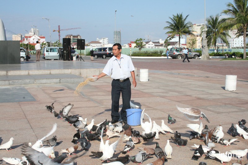 Người đàn ông cho hàng ngàn chim bồ câu ăn trên Công viên Biển Đông - ảnh 6