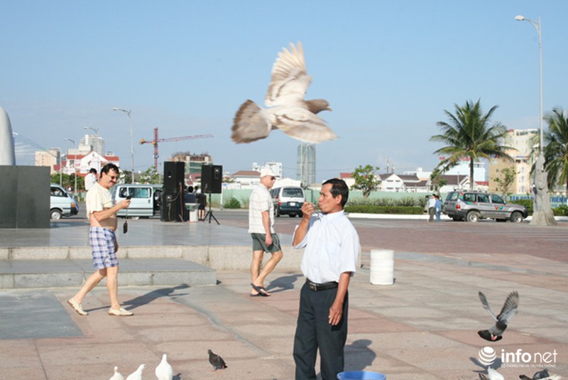 Người đàn ông cho hàng ngàn chim bồ câu ăn trên Công viên Biển Đông - ảnh 9