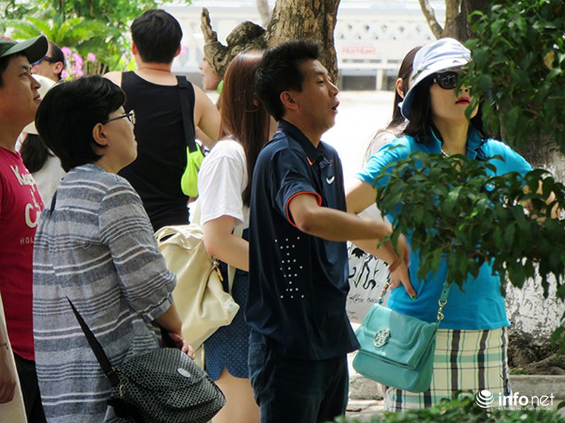 Trong lúc Đà Nẵng họp liên miên, HDV du lịch Trung, Hàn vẫn tiếp tục lộng hành! - ảnh 16