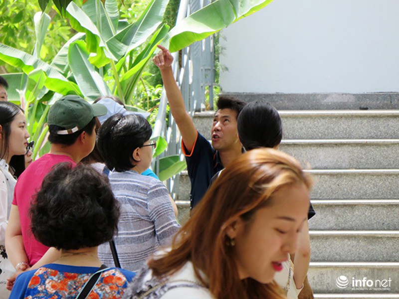 Trong lúc Đà Nẵng họp liên miên, HDV du lịch Trung, Hàn vẫn tiếp tục lộng hành! - ảnh 17