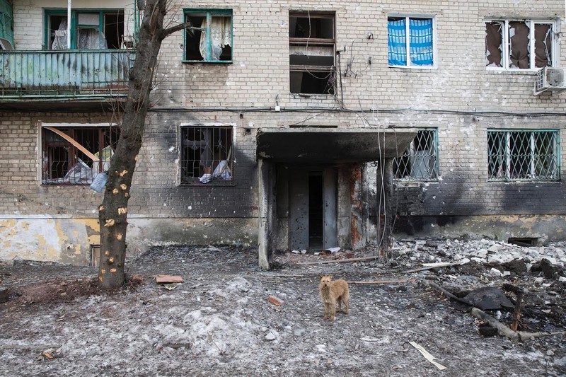 Ukraine: Những gì còn lại ở Debaltseve sau các trận đánh - ảnh 13
