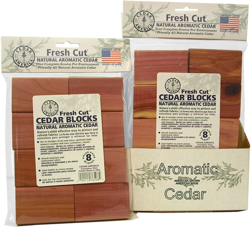 Các cách tự nhiên giúp xua đuổi côn trùng - ảnh 1