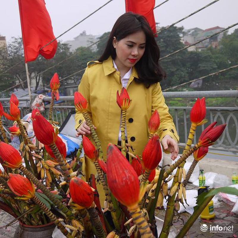 Hoa chuối rừng lung linh khoe sắc giữa Thủ đô - ảnh 10