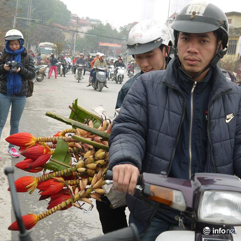 Hoa chuối rừng lung linh khoe sắc giữa Thủ đô - ảnh 3