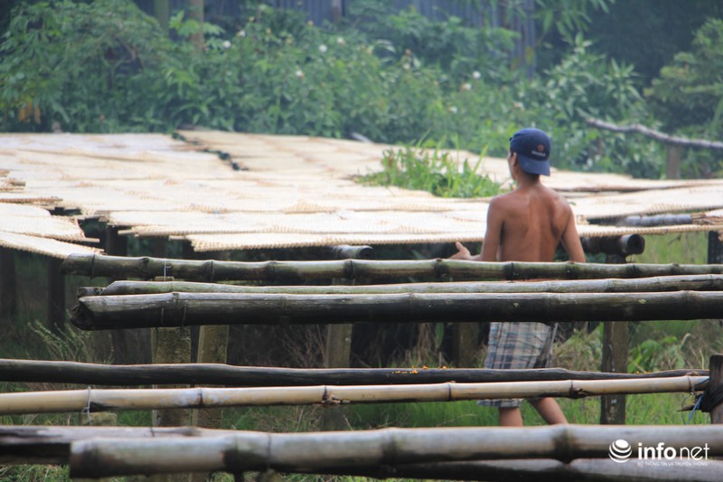 Làng nghề hủ tiếu làm du lịch: Người dân thêm một hướng làm giàu - ảnh 13