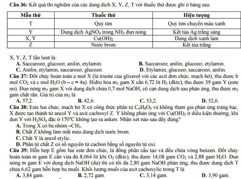 Bộ GD&ĐT công bố đề thi minh họa môn Hóa năm 2017 - ảnh 6