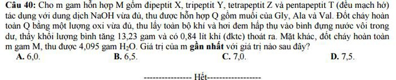 Bộ GD&ĐT công bố đề thi minh họa môn Hóa năm 2017 - ảnh 7