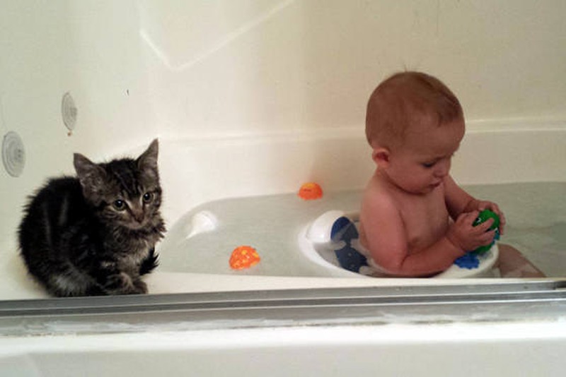 Những khoảnh khắc đáng yêu của loài mèo - ảnh 11