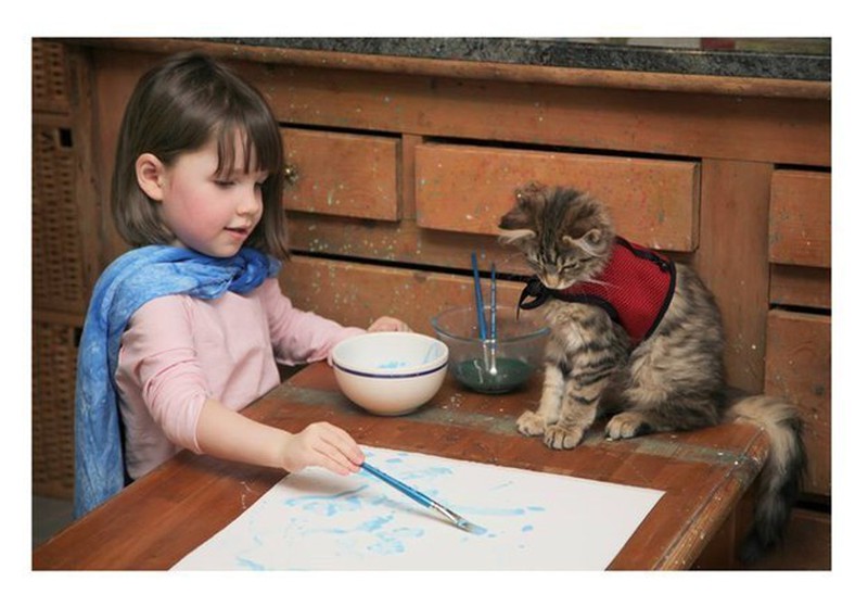 Những khoảnh khắc đáng yêu của loài mèo - ảnh 24