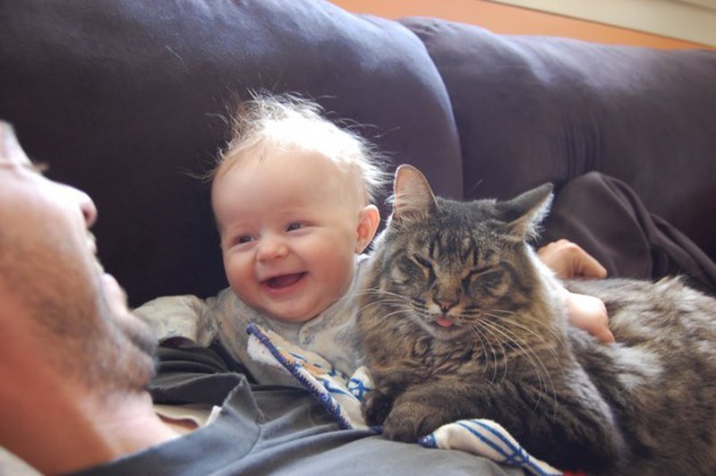 Những khoảnh khắc đáng yêu của loài mèo - ảnh 29