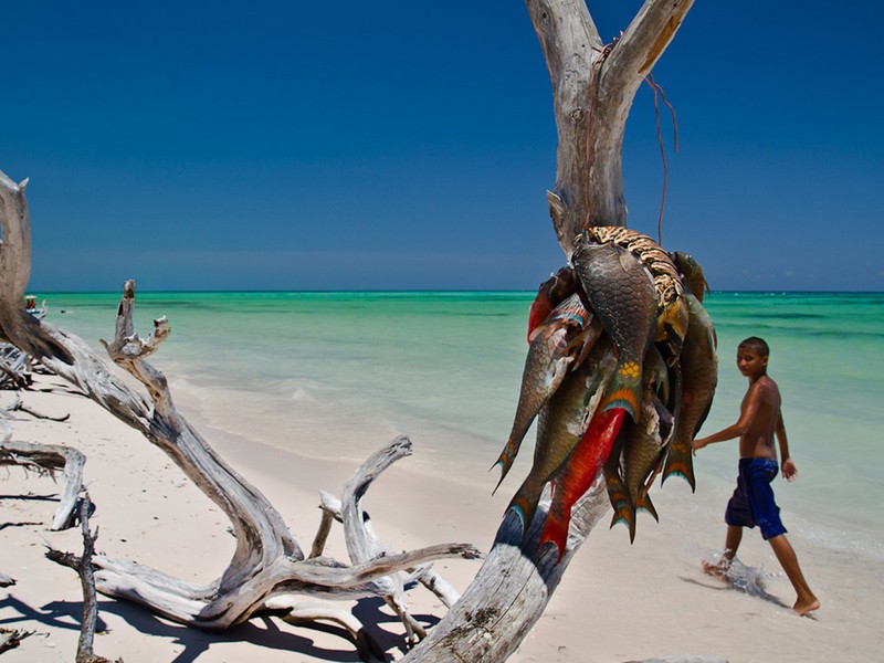 12 bức ảnh khiến bạn muốn bay ngay tới đảo thiên đường Cuba - ảnh 14