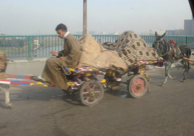 Những bức ảnh khiến bạn muốn