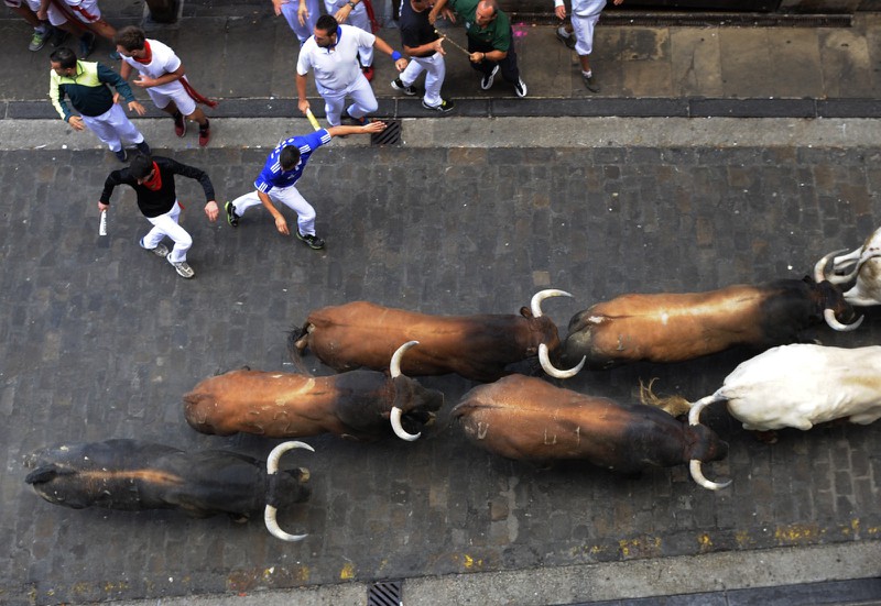 Thót tim với những hình ảnh lễ hội đua bò tót ở Tây Ban Nha - ảnh 10