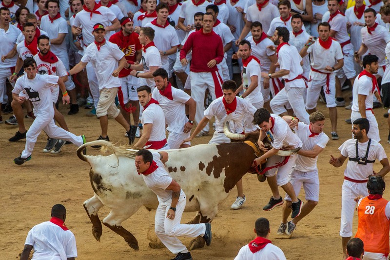 Thót tim với những hình ảnh lễ hội đua bò tót ở Tây Ban Nha - ảnh 11