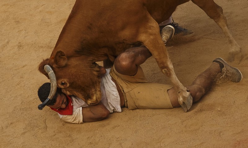 Thót tim với những hình ảnh lễ hội đua bò tót ở Tây Ban Nha - ảnh 6