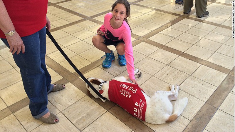 Khi động vật trở thành nhân viên an ninh sân bay - ảnh 1