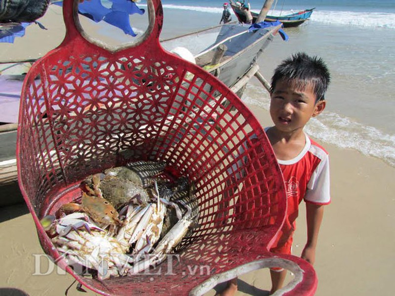 Shop TIN 22/8: Hôm nay, công bố hiện trạng môi trường biển miền Trung - ảnh 1