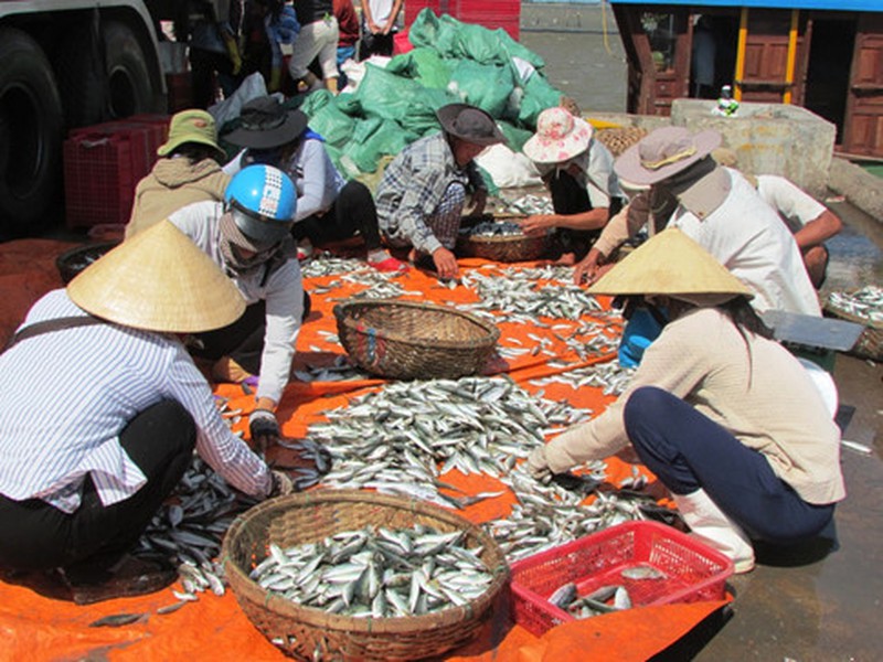 Shop TIN 22/8: Hôm nay, công bố hiện trạng môi trường biển miền Trung - ảnh 3