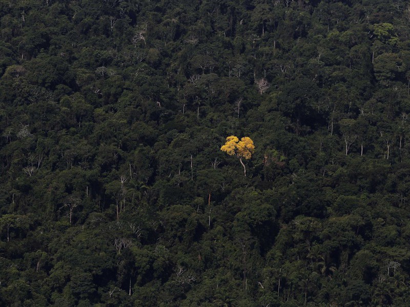 Thế giới đẹp mê hồn qua 28 bức ảnh chụp từ trên cao - ảnh 8