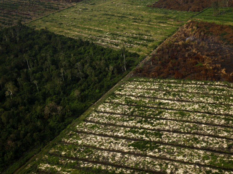 Thế giới đẹp mê hồn qua 28 bức ảnh chụp từ trên cao - ảnh 28