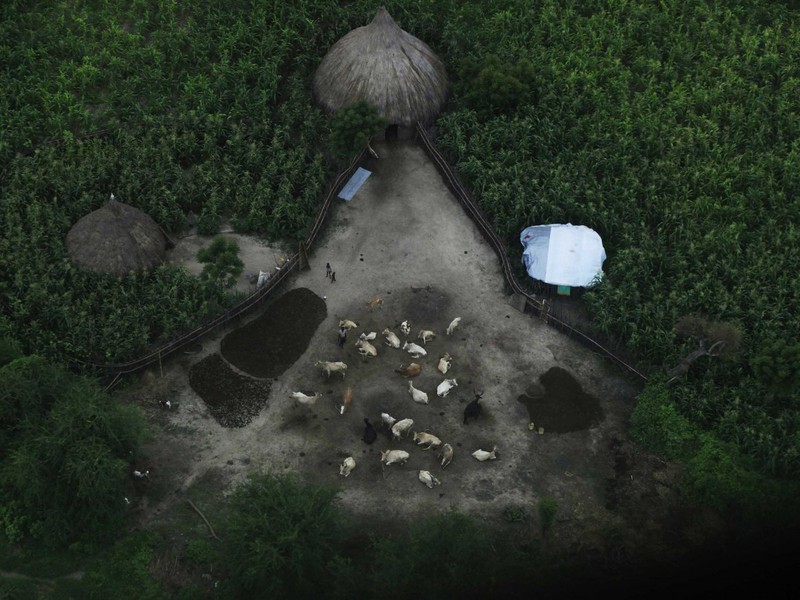 Thế giới đẹp mê hồn qua 28 bức ảnh chụp từ trên cao - ảnh 17