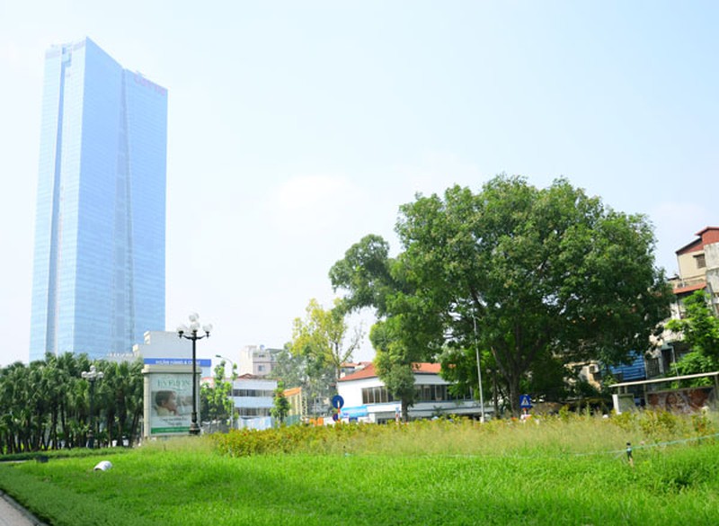 Hà Nội: Cỏ lau um tùm, trổ bông giữa đường phố - ảnh 4