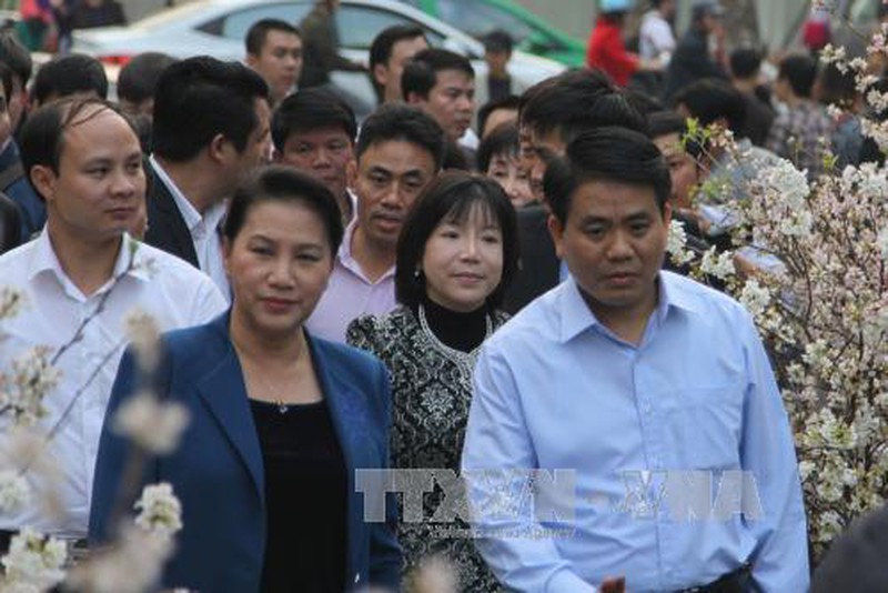 Chủ tịch Quốc hội Nguyễn Thị Kim Ngân tham quan triển lãm hoa anh đào tại Hà Nội - ảnh 2