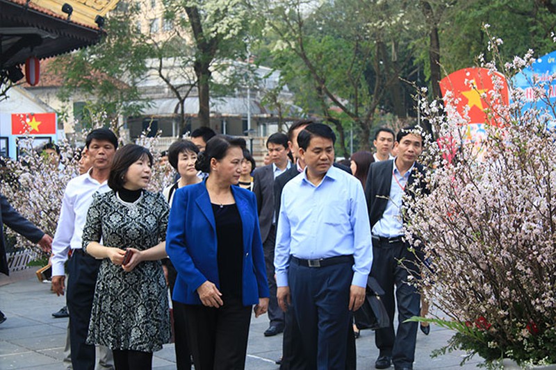 Chủ tịch Quốc hội Nguyễn Thị Kim Ngân tham quan triển lãm hoa anh đào tại Hà Nội - ảnh 3