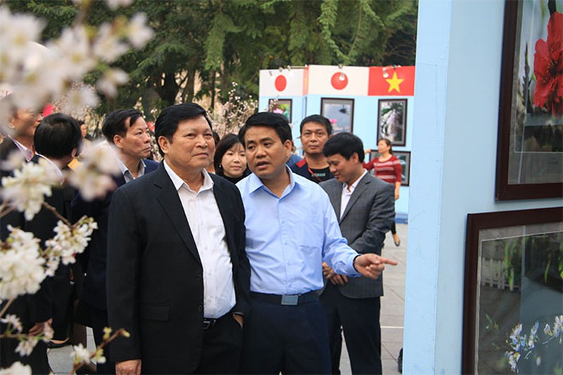 Chủ tịch Quốc hội Nguyễn Thị Kim Ngân tham quan triển lãm hoa anh đào tại Hà Nội - ảnh 7