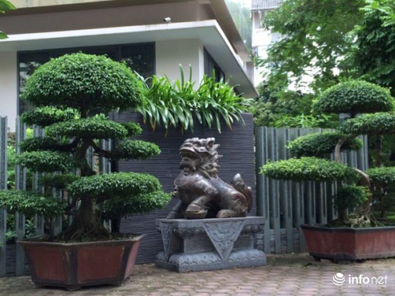 Biệt thự tiền tỷ của đại gia Hà Nội dùng linh vật độc “trấn yểm” - ảnh 3
