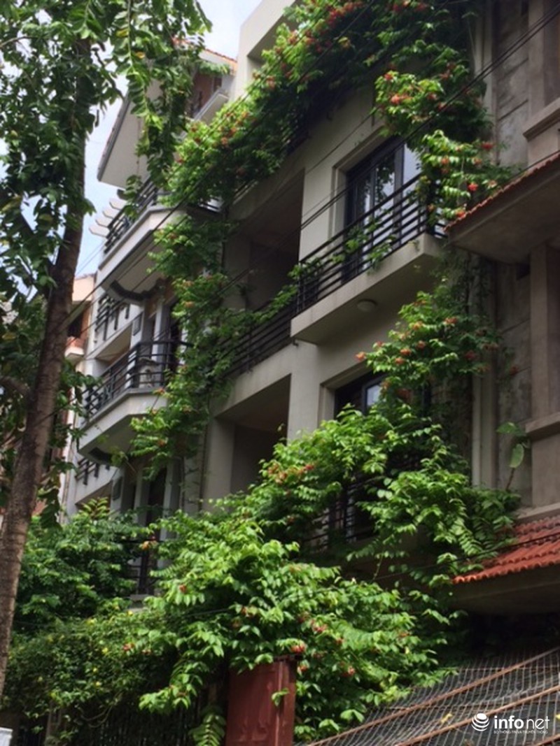 Mát mắt cách hạ nhiệt mùa hè của những biệt thự tiền tỷ - ảnh 10