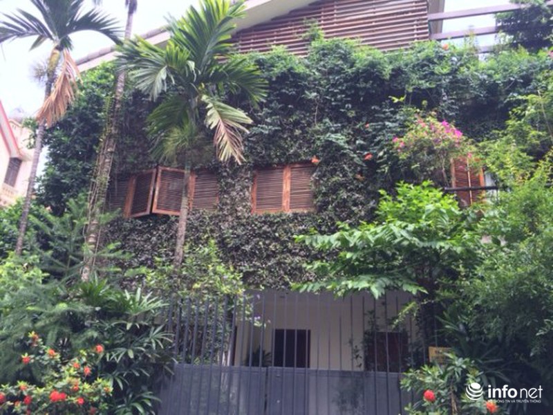 Mát mắt cách hạ nhiệt mùa hè của những biệt thự tiền tỷ - ảnh 4