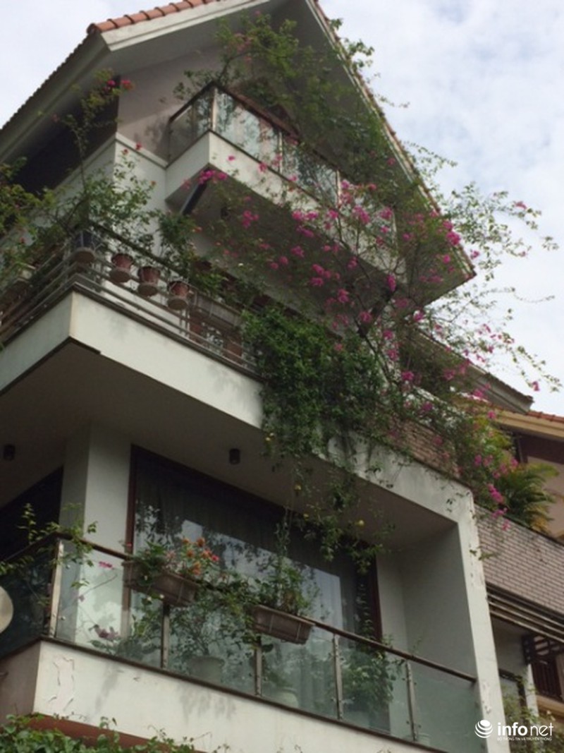 Mát mắt cách hạ nhiệt mùa hè của những biệt thự tiền tỷ - ảnh 7