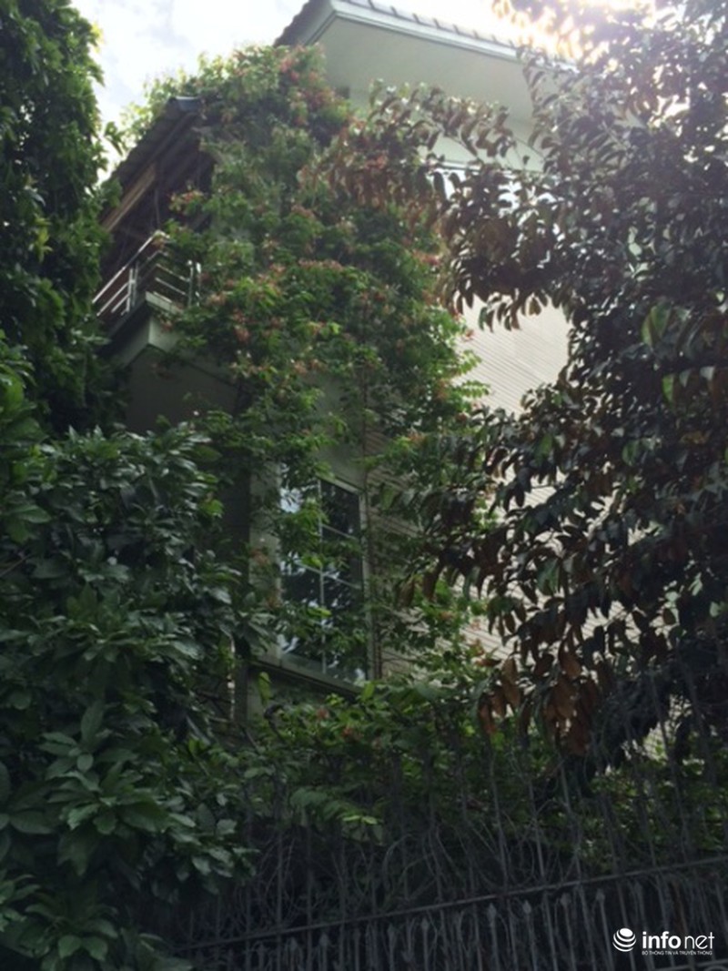 Mát mắt cách hạ nhiệt mùa hè của những biệt thự tiền tỷ - ảnh 8