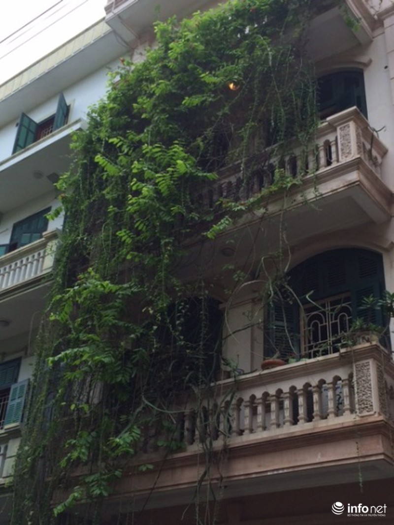 Mát mắt cách hạ nhiệt mùa hè của những biệt thự tiền tỷ - ảnh 9