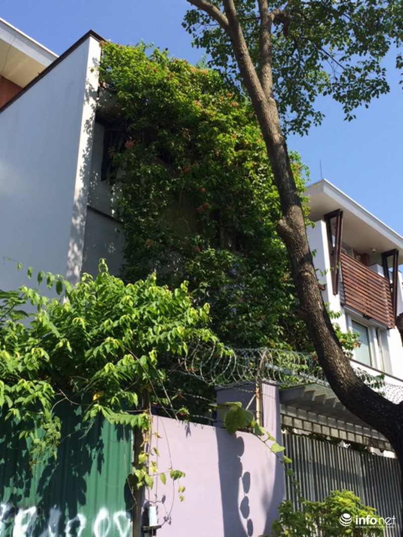 Muôn vẻ đẹp “trốn