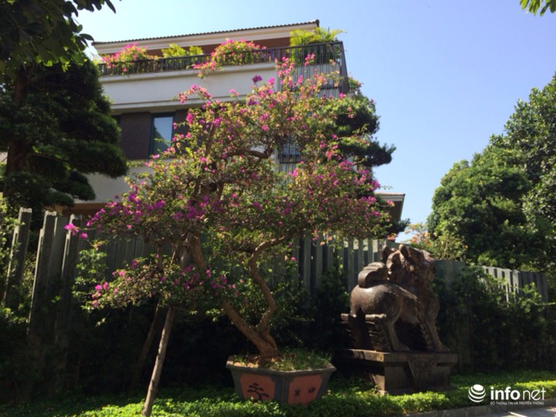 Muôn vẻ đẹp “trốn