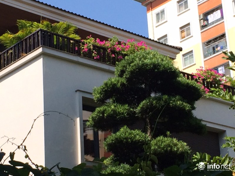 Muôn vẻ đẹp “trốn