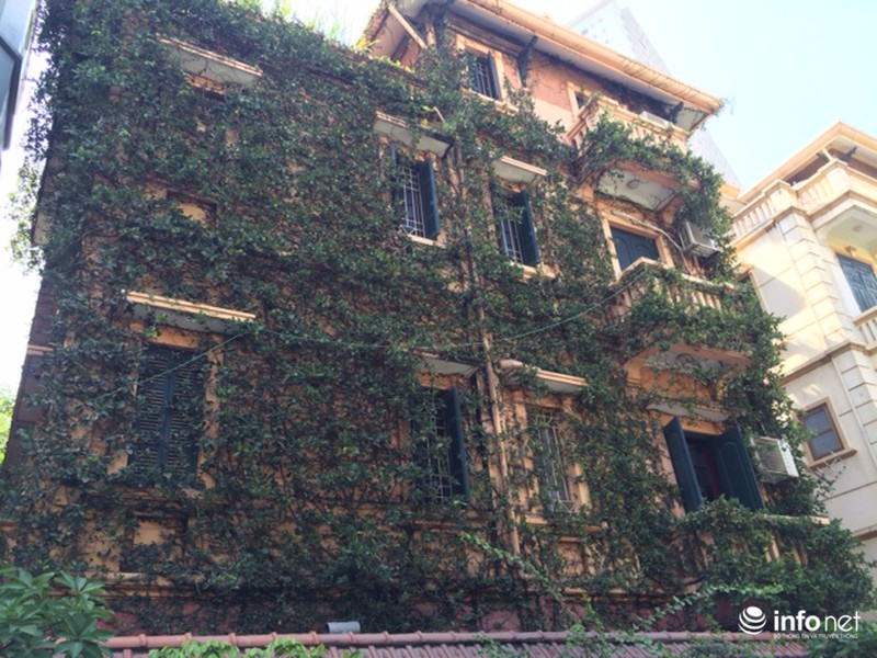 Muôn vẻ đẹp “trốn