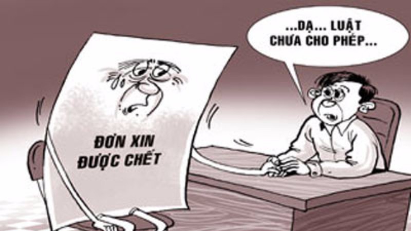 Quyền được chết: Cần khung pháp lý chặt chẽ, tránh bị khép tội giết người - ảnh 1