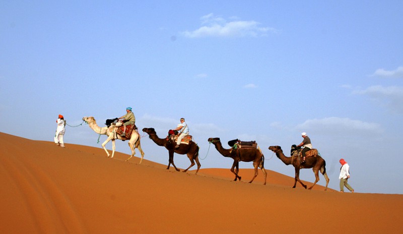 Phòng dịch MERS-COV: Vì sao không nên cưỡi lạc đà? - ảnh 1