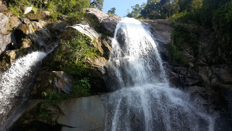 Ngỡ ngàng