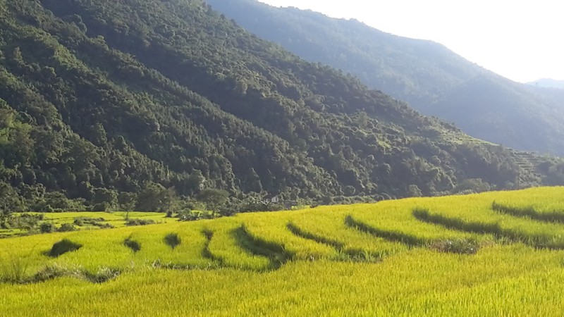 Ngỡ ngàng