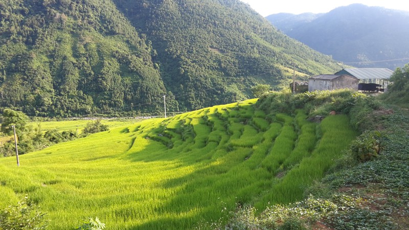 Ngỡ ngàng